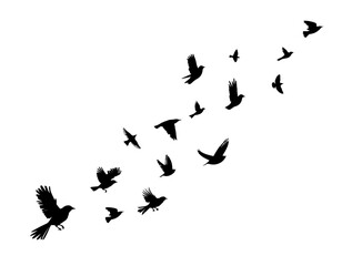 Flying birds silhouette flock. hand drawing. Not AI, Vector illustration