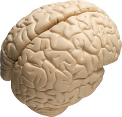 LAYER-LAB_0403198719_LC