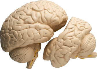 LAYER-LAB_0403198727_LC