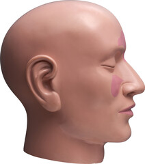 LAYER-LAB_0403198894_LC