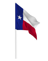 Flag of Texas illustration
