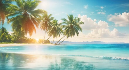 Fototapeta na wymiar Seascape with palm tree, tropical beach background
