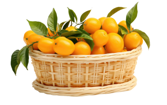 Plastic-Bound Kumquat Presentation isolated on transparent Background