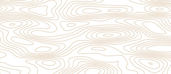 Abstract wave paper curved reliefs background .gradient multicolor wave curve lines banner background design .topographic contours map background .Vector geographic contour map.