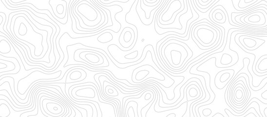 Abstract wave paper curved reliefs background .gradient multicolor wave curve lines banner background design .topographic contours map background .Vector geographic contour map.