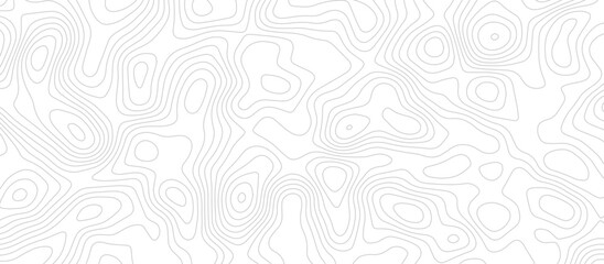 Abstract wave paper curved reliefs background .gradient multicolor wave curve lines banner background design .topographic contours map background .Vector geographic contour map.