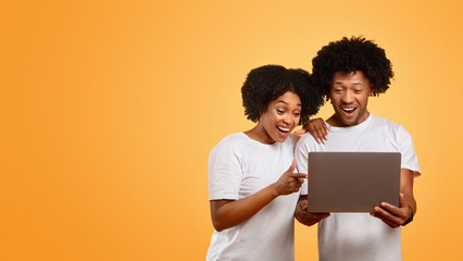 African american couple using laptop together, colorful studio background
