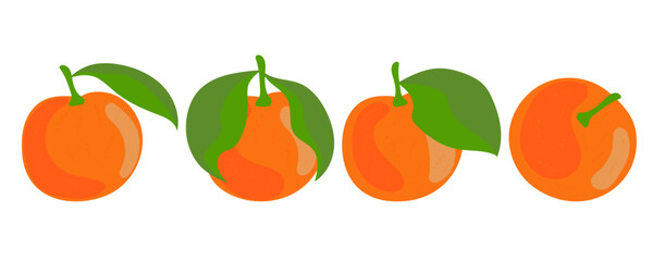 mandarin, mandarin slice, fruit, mandarin on a white background, mandarin hand drawing