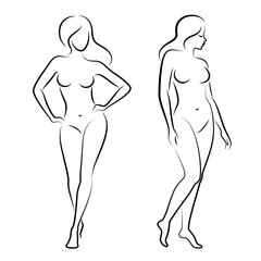 Collection. Silhouette of a nice lady, she is standing. The girl has a beautiful naked figure. The woman is a young sexy and slender model. Vector illustration set.