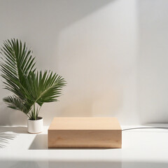 Simple wooden podium with green palm leaf against sunlight background