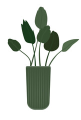 Vector indoor plant image, green vector plant image