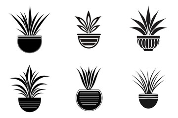 set of silhouettes of plants in a pot  vector illustration isolated transparent background logo, cut out or cutout t-shirt design - obrazy, fototapety, plakaty