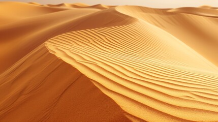 Fototapeta na wymiar Sweeping Sands and Gentle Curves: A Close-Up of Desert Dunes at Dawn