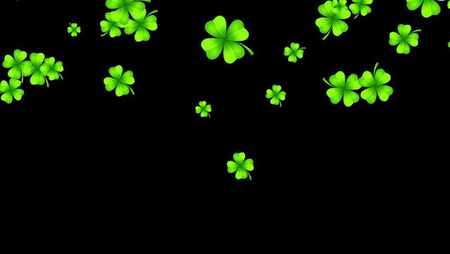 Falling shamrock blossoms. Four-leaf green clovers. Lucky charm leaves. Overlay. Black background. 59,94fps