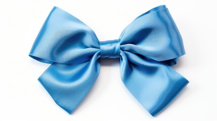 festive blue holiday bow