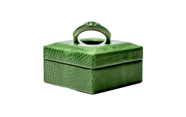 Serpentine Ring Encasement isolated on transparent Background