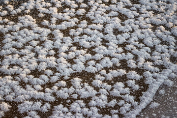 Bunches of crystalline frost growing on the icy surface of a stream
