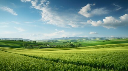 Fototapeta na wymiar agriculture farm land background