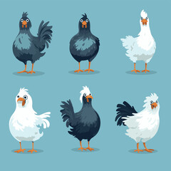 Fototapeta premium vector illustrations of different chicken breeds, showcasing their unique characteristics and features.