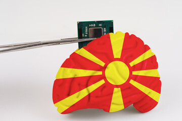 A model of the brain with a picture of a flag - Macedonia, a microcircuit, a processor, is...