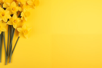 Bright yellow background with ample space for text overlaid with vibrant narcissus flowers. Cheerful and inviting design perfect for springtime themes - obrazy, fototapety, plakaty