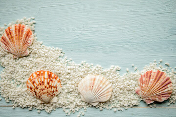 Seashells and sand on blue wooden background, copy space for the text. Summer vacation concept