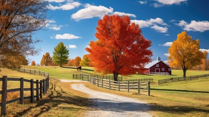 autumn horse farm fall