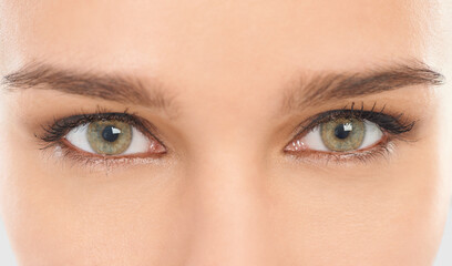 Eyes, eyebrows and lashes for vision in closeup of woman for eyecare, microblading and contact...