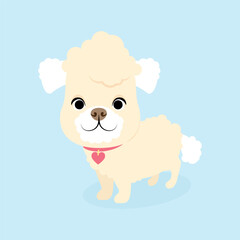 Cute white cartoon curly poodle