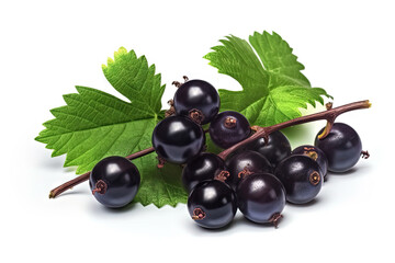 Black currant on background. Juicy black berries, fresh and sweet.