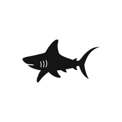 Obraz premium shark vector silhouette