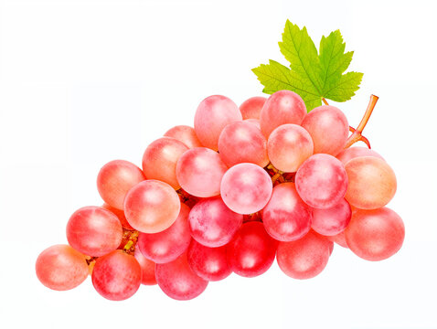 Pink grape bunch isolated on white background