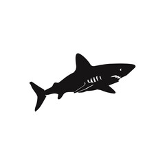 Obraz premium shark vector silhouette