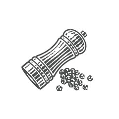 Pepper Shaker and Pile of peppercorns. Hand drawn engraving style illustrations. Vector illustration.