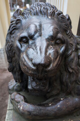 Obraz premium Lion head. Ancient sculpture, former pillar base of the Gothic guardhouse
