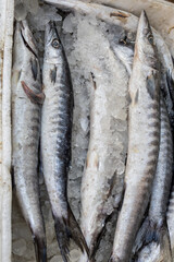 fresh fish kept at snow box at retail shop for sale at day from different angle