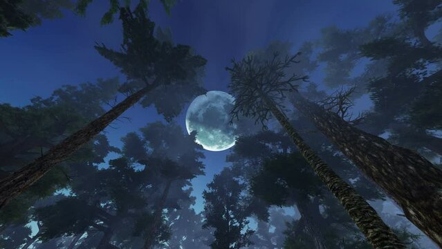 Full moon. Ghostly trees against sky in moonlight. Moon piercing through treetop canopy at night.
Big moon above trees. 3D rendering, animation.
