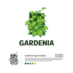 Gardenia logo template, with a green leaf stack for your garden house logo.