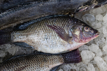 fresh fish kept at snow box at retail shop for sale at day from different angle