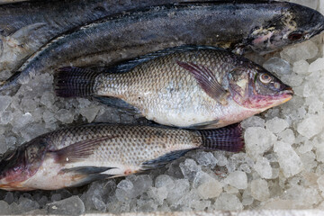 fresh fish kept at snow box at retail shop for sale at day from different angle