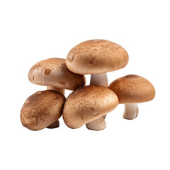 Mushrooms on transparent background