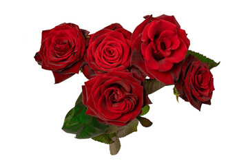 A bouquet of beautiful red roses isolated on a white background.