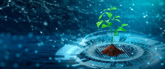 Tree with soil growing on  the converging point of computer circuit board. Blue light and wireframe network background. Green Computing, Green Technology, Green IT, csr, and IT ethics Concept.