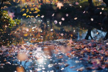 falling leaves above the water