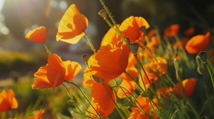 Vibrant Orange Poppies Dancing in the Wind AI Generated.