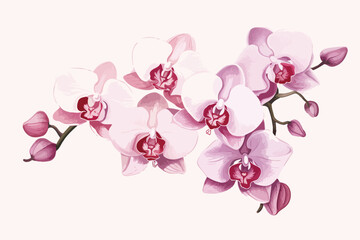 Fototapeta na wymiar a painting of pink orchids on a white background