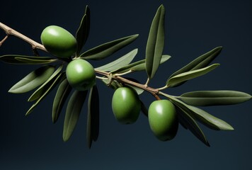 olives on a branch with green leaves