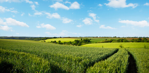 Paysage de campagne en France, vue sur les champs et les chemins à travers les prairies au printemps. - obrazy, fototapety, plakaty