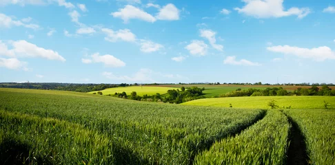 Papier peint Prairie, marais Paysage de campagne en France, vue sur les champs et les chemins à travers les prairies au printemps.