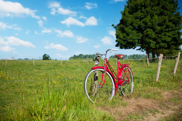 Vieux vélo rouge au milieu de la campagne au printemps avant la balade. - 735273477